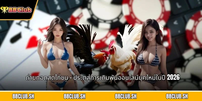 ถ่ายทอดสดไก่ชน