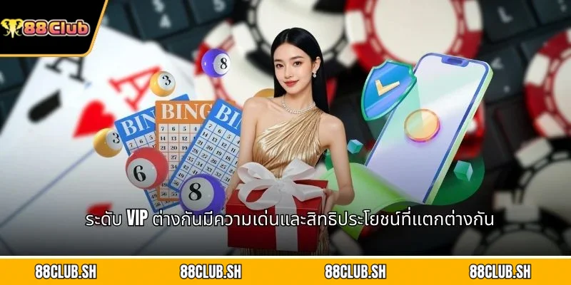 ระดับ VIP ต่างกันมีความเด่นและสิทธิประโยชน์ที่แตกต่างกัน