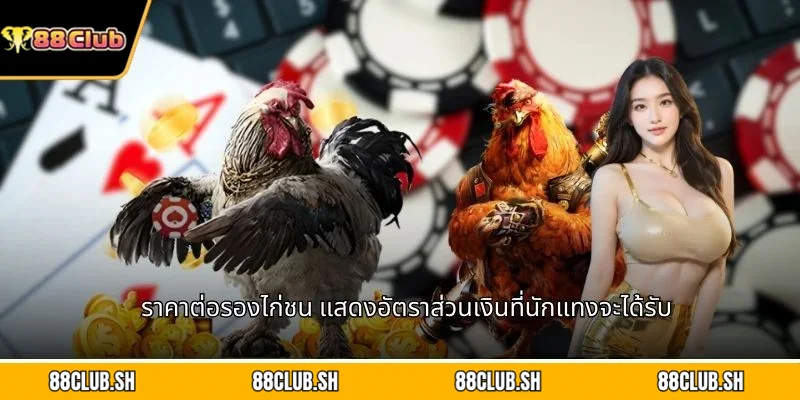 ราคาต่อรองไก่ชน แสดงอัตราส่วนเงินที่นักแทงจะได้รับ