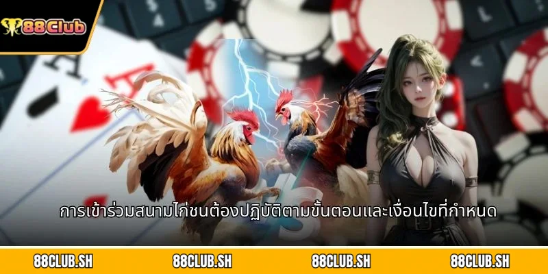 การเข้าร่วมสนามไก่ชนต้องปฏิบัติตามขั้นตอนและเงื่อนไขที่กำหนด