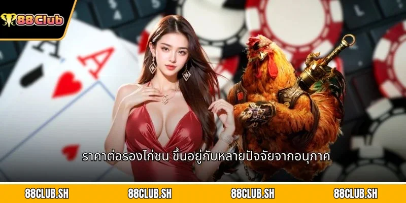 ราคาต่อรองไก่ชน ขึ้นอยู่กับหลายปัจจัยจากอนุภาค