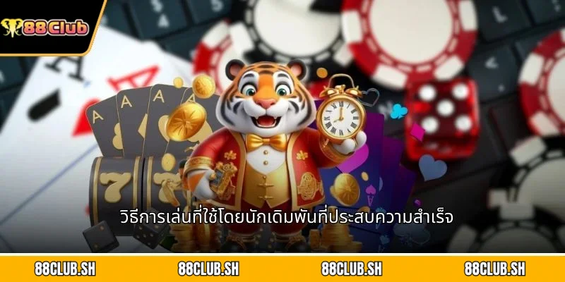 วิธีการเล่นที่ใช้โดยนักเดิมพันที่ประสบความสำเร็จ