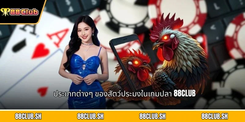 ประเภทต่างๆ ของสัตว์ประมงในเกมปลา 88CLUB