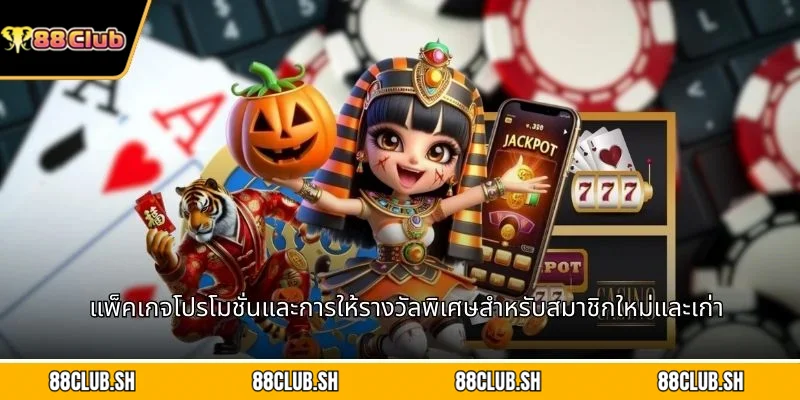 แพ็คเกจโปรโมชั่นและการให้รางวัลพิเศษสำหรับสมาชิกใหม่และเก่า