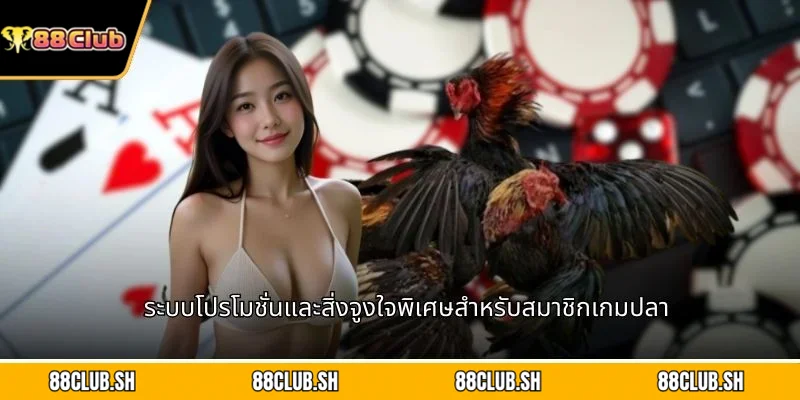 ระบบโปรโมชั่นและสิ่งจูงใจพิเศษสำหรับสมาชิกเกมปลา