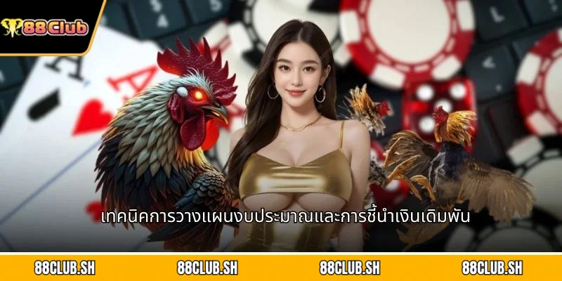 เทคนิคการวางแผนงบประมาณและการชี้นำเงินเดิมพัน