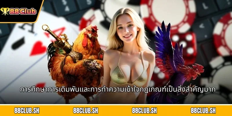 การศึกษาการเดิมพันและการทำความเข้าใจกฎเกณฑ์เป็นสิ่งสำคัญมาก