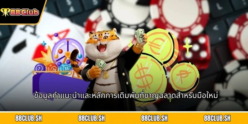 ข้อมูลคำแนะนำและหลักการเดิมพันที่ชาญฉลาดสำหรับมือใหม่