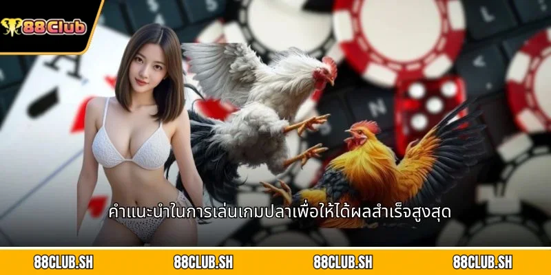 คำแนะนำในการเล่นเกมปลาเพื่อให้ได้ผลสำเร็จสูงสุด