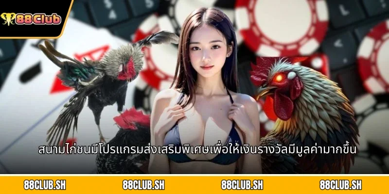 สนามไก่ชนมีโปรแกรมส่งเสริมพิเศษเพื่อให้เงินรางวัลมีมูลค่ามากขึ้น